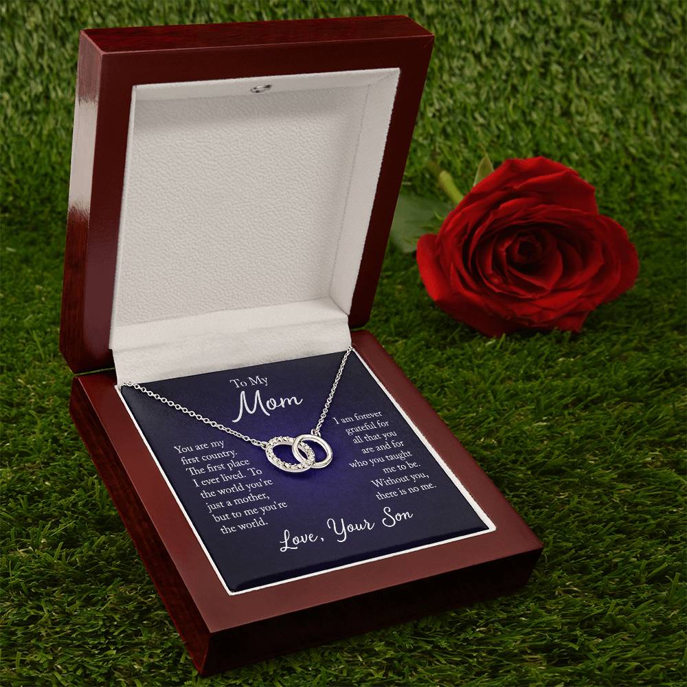 "Elegant Perfect Pair Necklace on a gift card, featuring a large circle dipped in 14K white gold and set with 20 dazzling cubic zirconia crystals, total pendant width of 0.8 inches, 18-inch chain with a 2-inch extension, and a parrot clasp, in a Luxury Box with an LED spotlight.