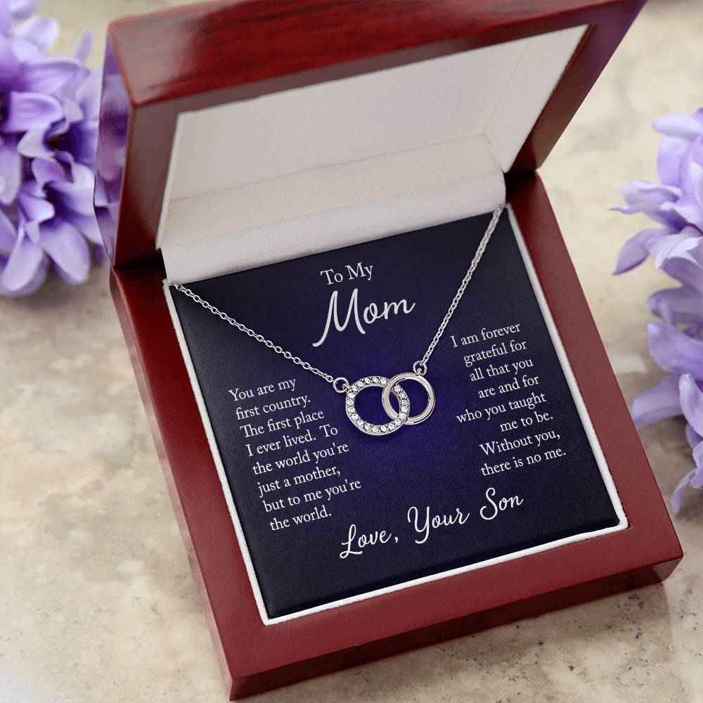"Elegant Perfect Pair Necklace on a gift card, featuring a large circle dipped in 14K white gold and set with 20 dazzling cubic zirconia crystals, total pendant width of 0.8 inches, 18-inch chain with a 2-inch extension, and a parrot clasp, in a Luxury Box with an LED spotlight.
