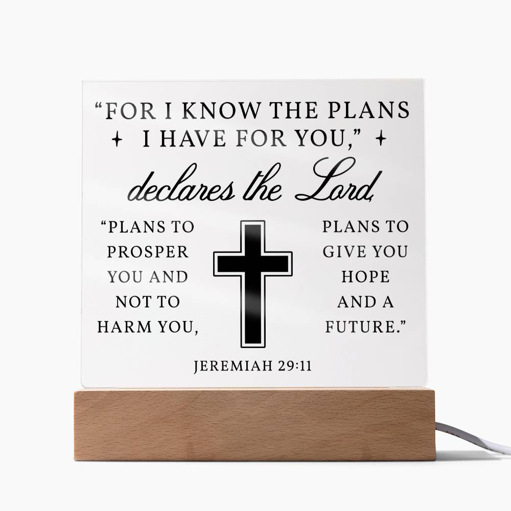 For I know The Plans I Have For You - Acrylic plaque nightlight, Scripture