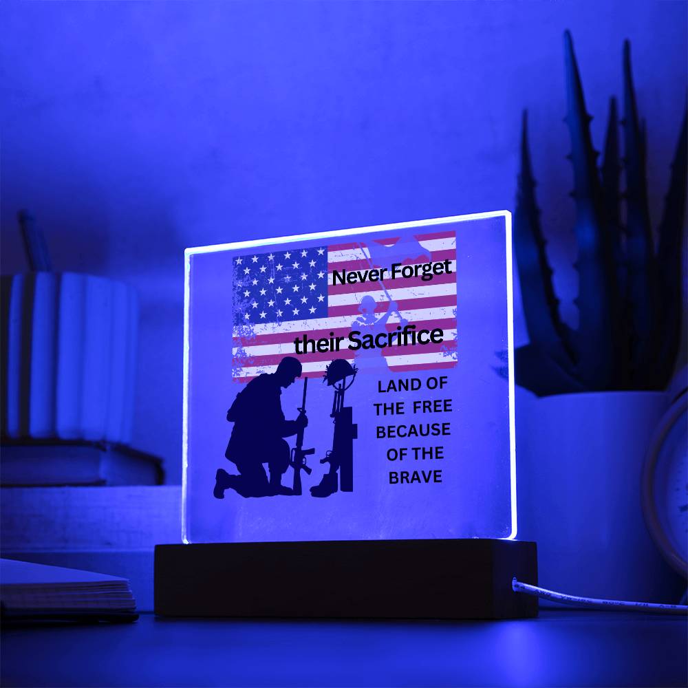 Fallen Soldier Tribute - Never Forget!
