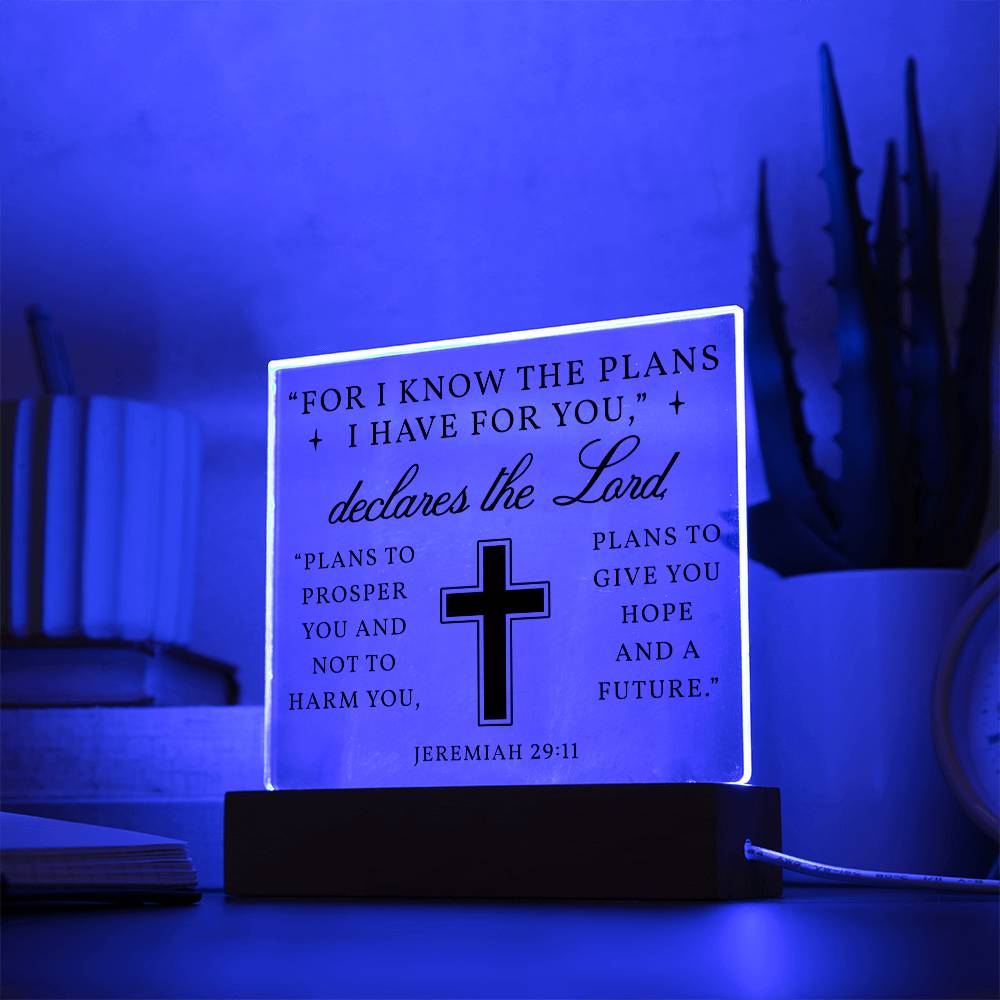 For I know The Plans I Have For You - Acrylic plaque nightlight, Scripture